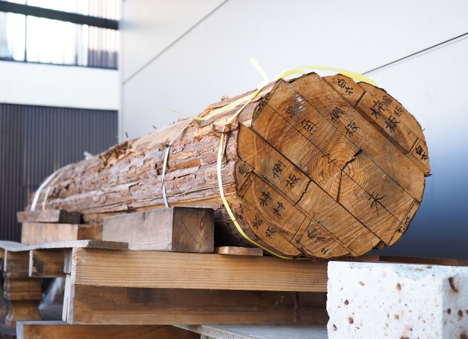 丸太の「木取り」見本。日本の住宅では、まさに「適材適所」で木が使われてきた